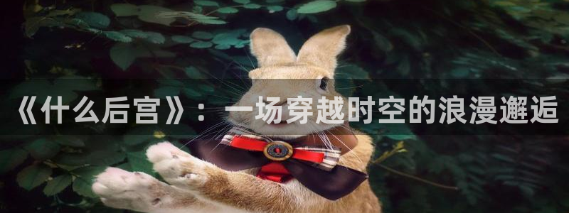 风车漫画的软件下载：《什么后宫》：一场穿越时空的浪漫邂逅