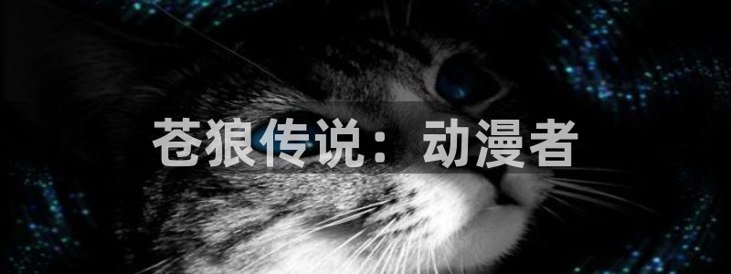 樱花动漫高清：苍狼传说：动漫者