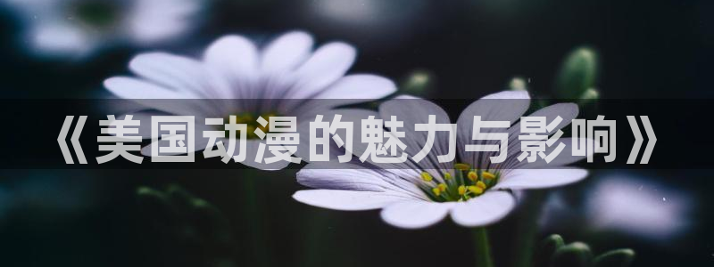 漫樱花动漫：《美国动漫的魅力与影响》